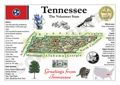 North America | U.S. Constituent - TENNESSEE (MOTW US) - top quality approved by www.postcardsmarket.com specialists