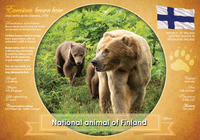 National Animal of Finland (bundle of 5 cards) - top quality approved by www.postcardsmarket.com specialists