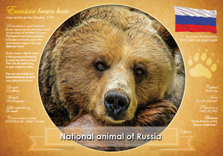 National Animal of Russia (bundle of 5 cards) - top quality approved by www.postcardsmarket.com specialists