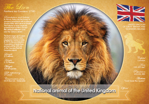 National Animal of the United Kingdom (bundle of 5 cards) - top quality approved by www.postcardsmarket.com specialists