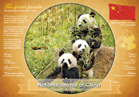 T037 - National Animal of China (bundle of 5 cards) - top quality approved by www.postcardsmarket.com specialists
