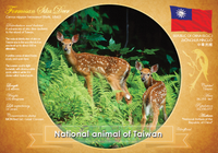 National Animal of Taiwan (bundle of 5 cards) - top quality approved by www.postcardsmarket.com specialists
