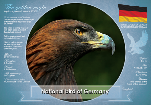 National Bird of Germany R013 (bundle of 5 cards) - top quality approved by www.postcardsmarket.com specialists