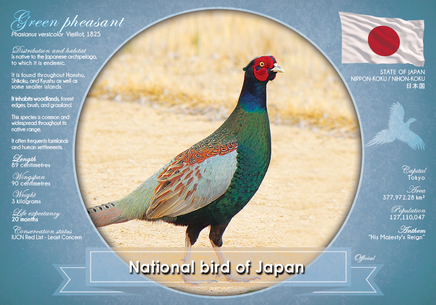 National Bird of Japan (bundle of 5 cards) - top quality approved by www.postcardsmarket.com specialists