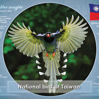 T034 - National Bird of Taiwan (bundle of 5 cards)- T034 - top quality approved by www.postcardsmarket.com specialists