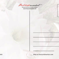 Photo: Cactus Flower (bundle x 5 pieces) - top quality approved by www.postcardsmarket.com specialists