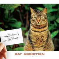 Photo: Postcrosser's Must Have - Cat Addiction (bundle x 5 pieces) - top quality approved by www.postcardsmarket.com specialists
