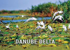 Photo Danube Delta - Romania UNESCO WHS site - 01 Flying birds (bundle x 5 pieces) - top quality approved by www.postcardsmarket.com specialists