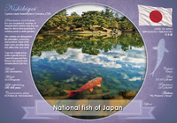 National Fish of Japan (bundle of 5 cards) - top quality approved by www.postcardsmarket.com specialists