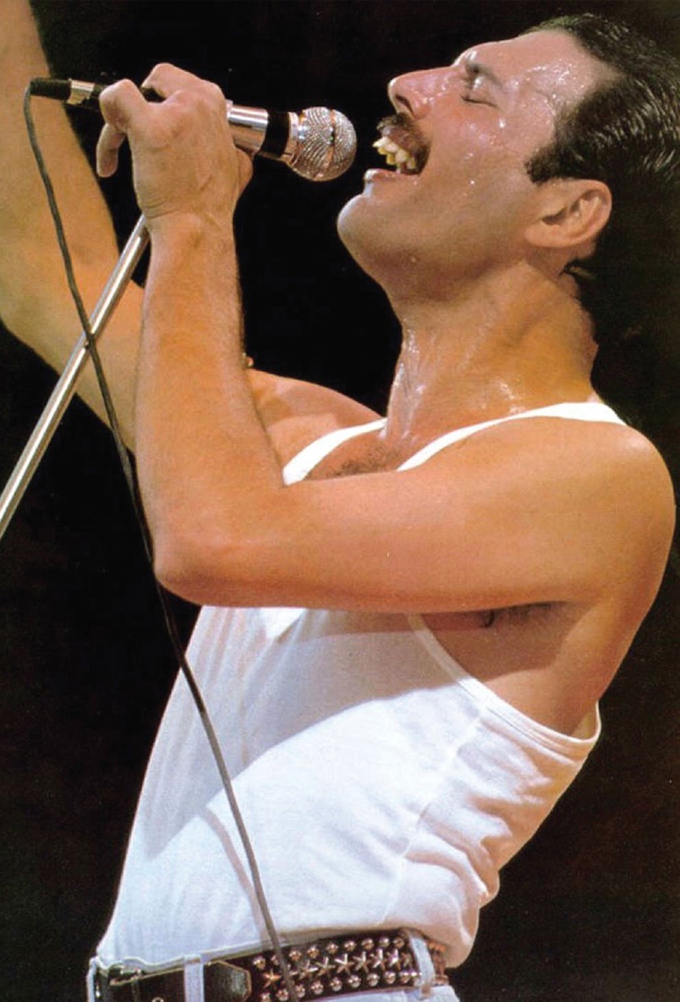 Photo: Freddie Mercury (1946-1991) (bundle x 5 pieces) - top quality approved by www.postcardsmarket.com specialists