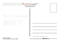 Oceania | New Zealand CCUN Postcard x 3pieces - top quality approved by www.postcardsmarket.com specialists