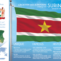 South America | SURINAME - FW (country No. 165) - top quality approved by www.postcardsmarket.com specialists