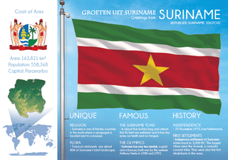 South America | SURINAME - FW (country No. 165) - top quality approved by www.postcardsmarket.com specialists