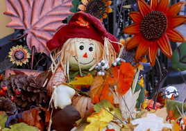 T025 Photo: 5 x Thanksgiving doll (bundle x 5 pieces) - top quality approved by www.postcardsmarket.com specialists