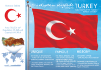 Asia | Europe | TURKEY - FW (country No. 17) - top quality approved by www.postcardsmarket.com specialists