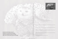 Photo Birds: Wise Owl (bundle of 5 cards) - top quality approved by www.postcardsmarket.com specialists