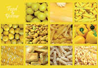 Photo: Food & Yellow (bundle x 5 pieces) - top quality approved by www.postcardsmarket.com specialists